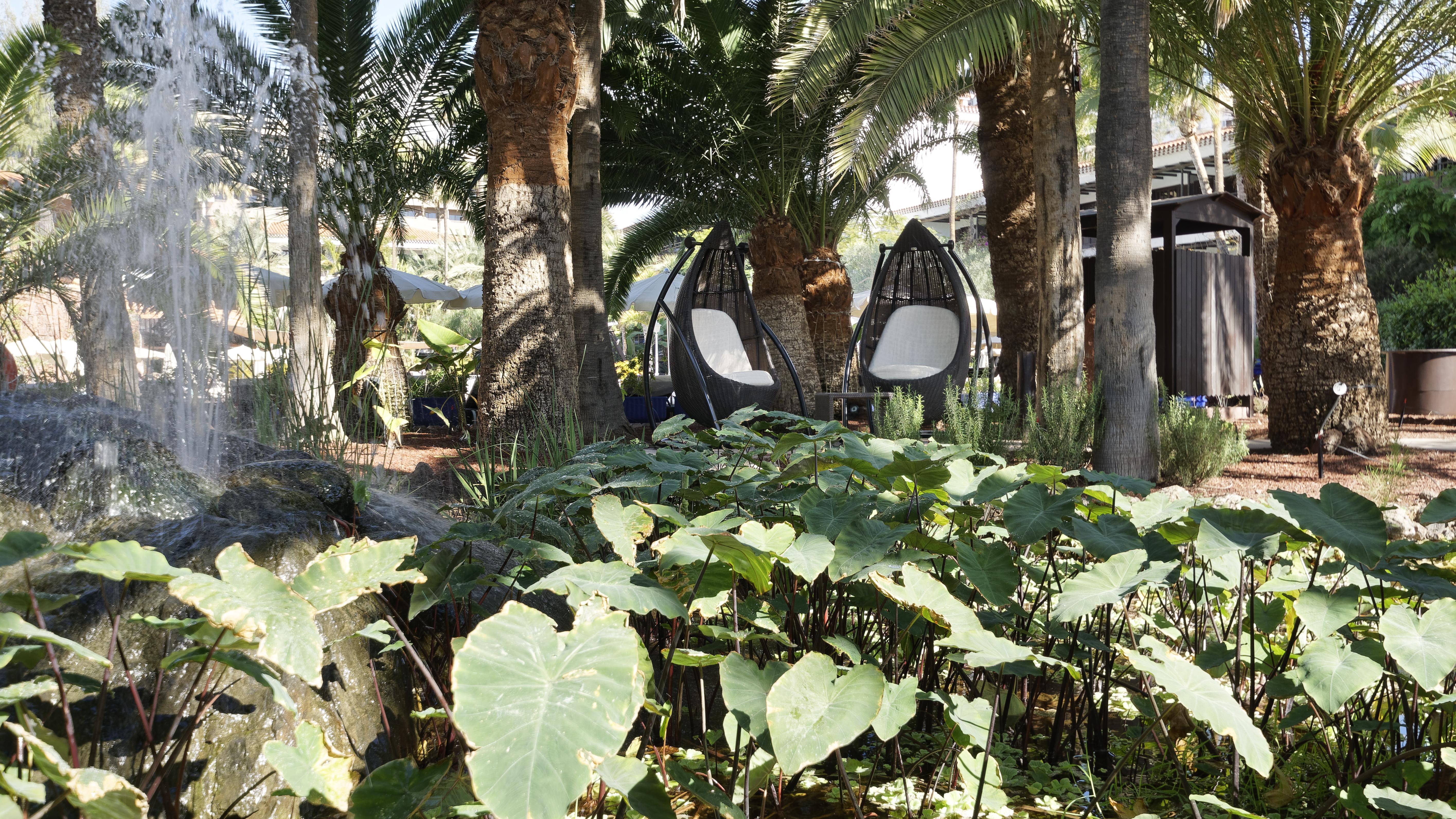 Hotel Parque Tropical 普拉亚戴尔雷安格莱斯 外观 照片