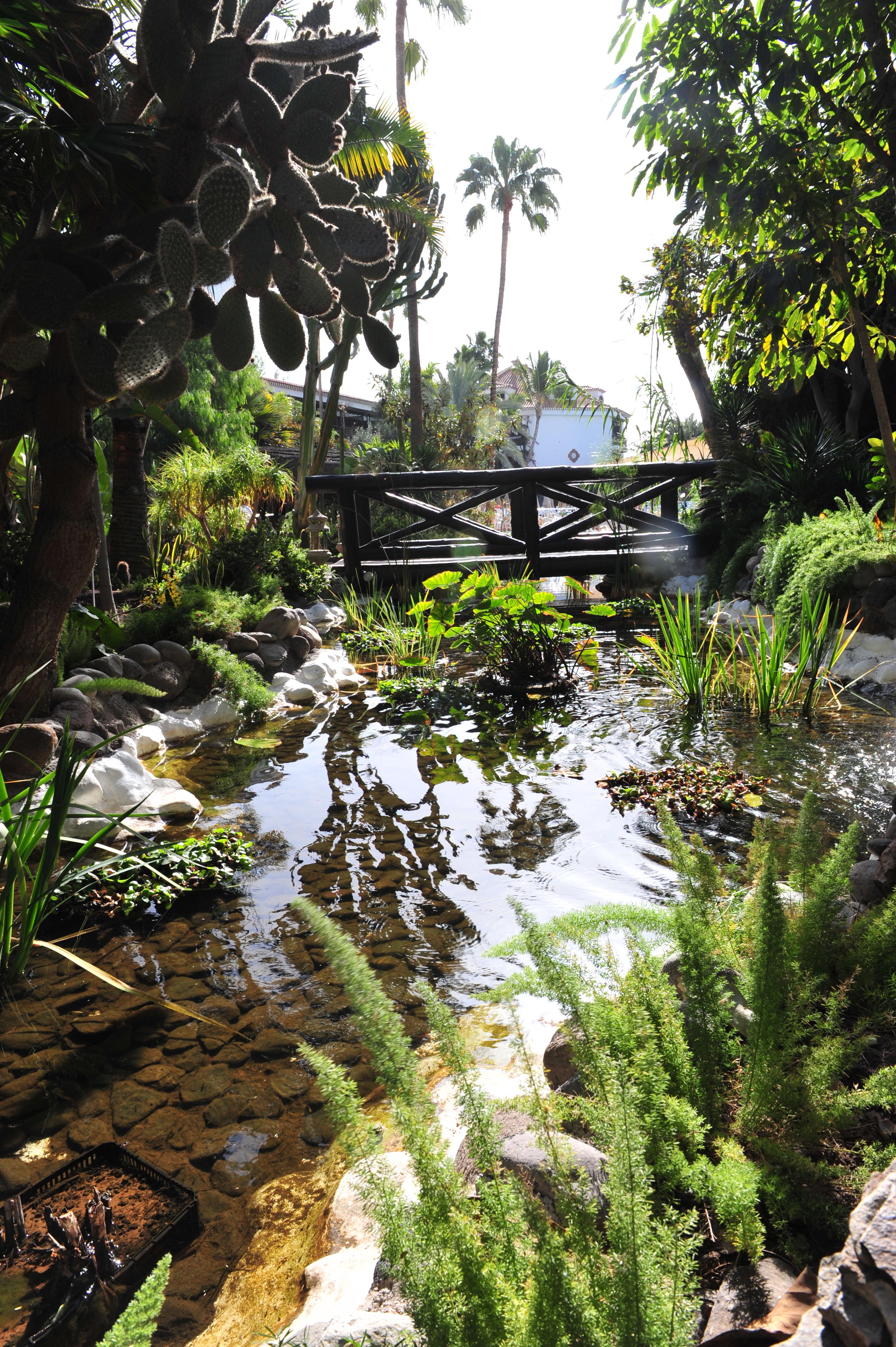 Hotel Parque Tropical 普拉亚戴尔雷安格莱斯 外观 照片