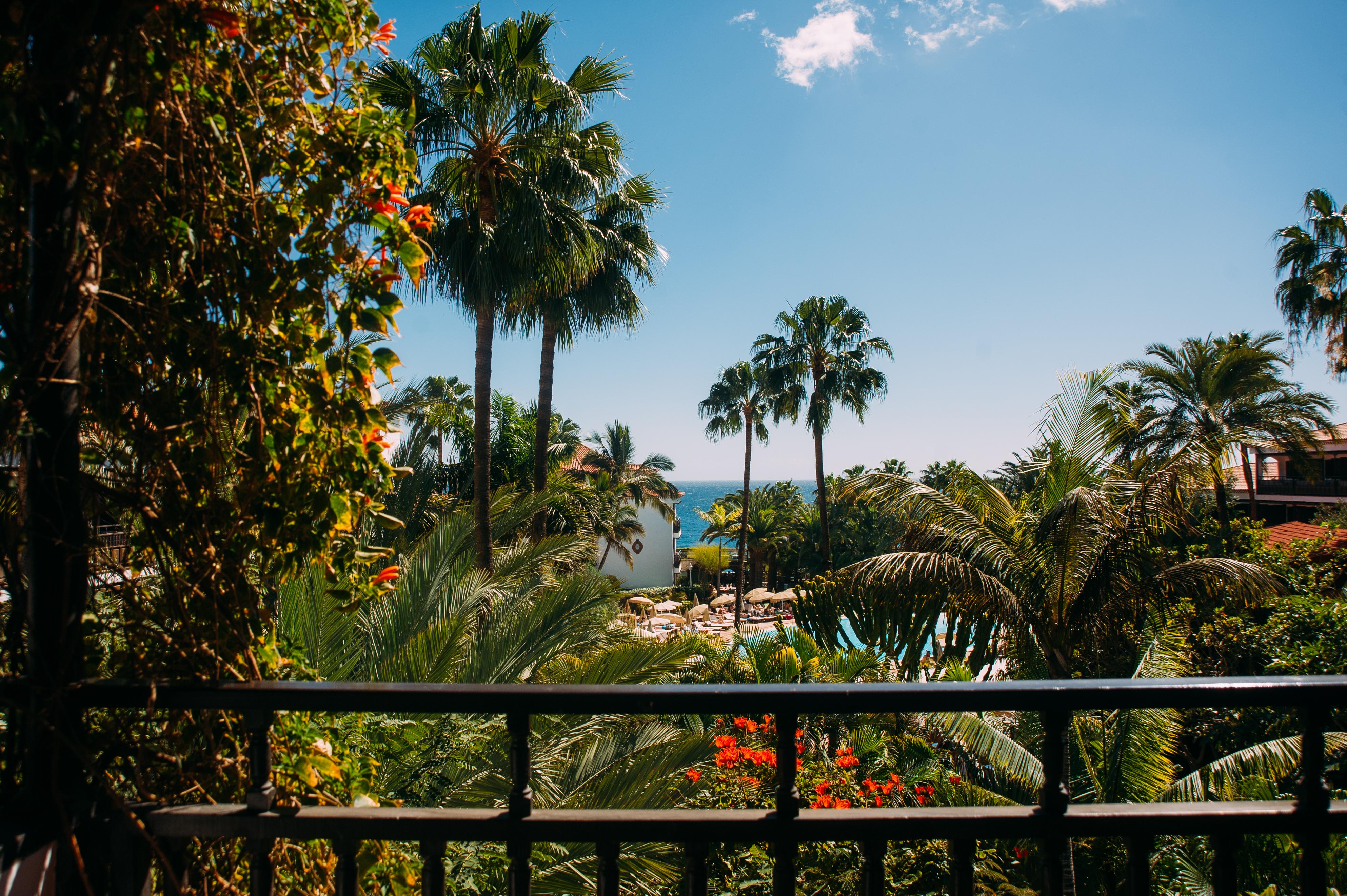Hotel Parque Tropical 普拉亚戴尔雷安格莱斯 外观 照片