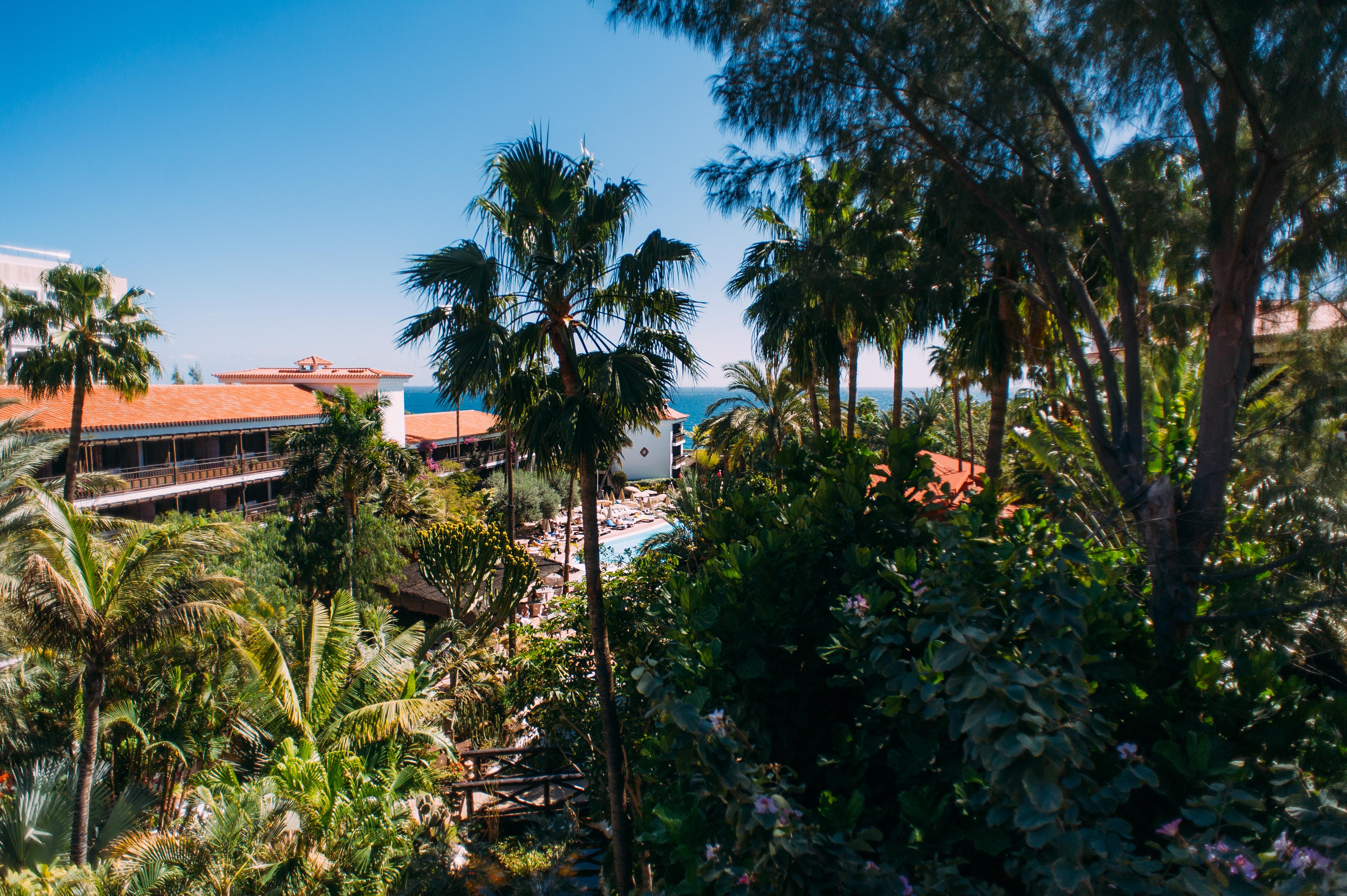 Hotel Parque Tropical 普拉亚戴尔雷安格莱斯 外观 照片