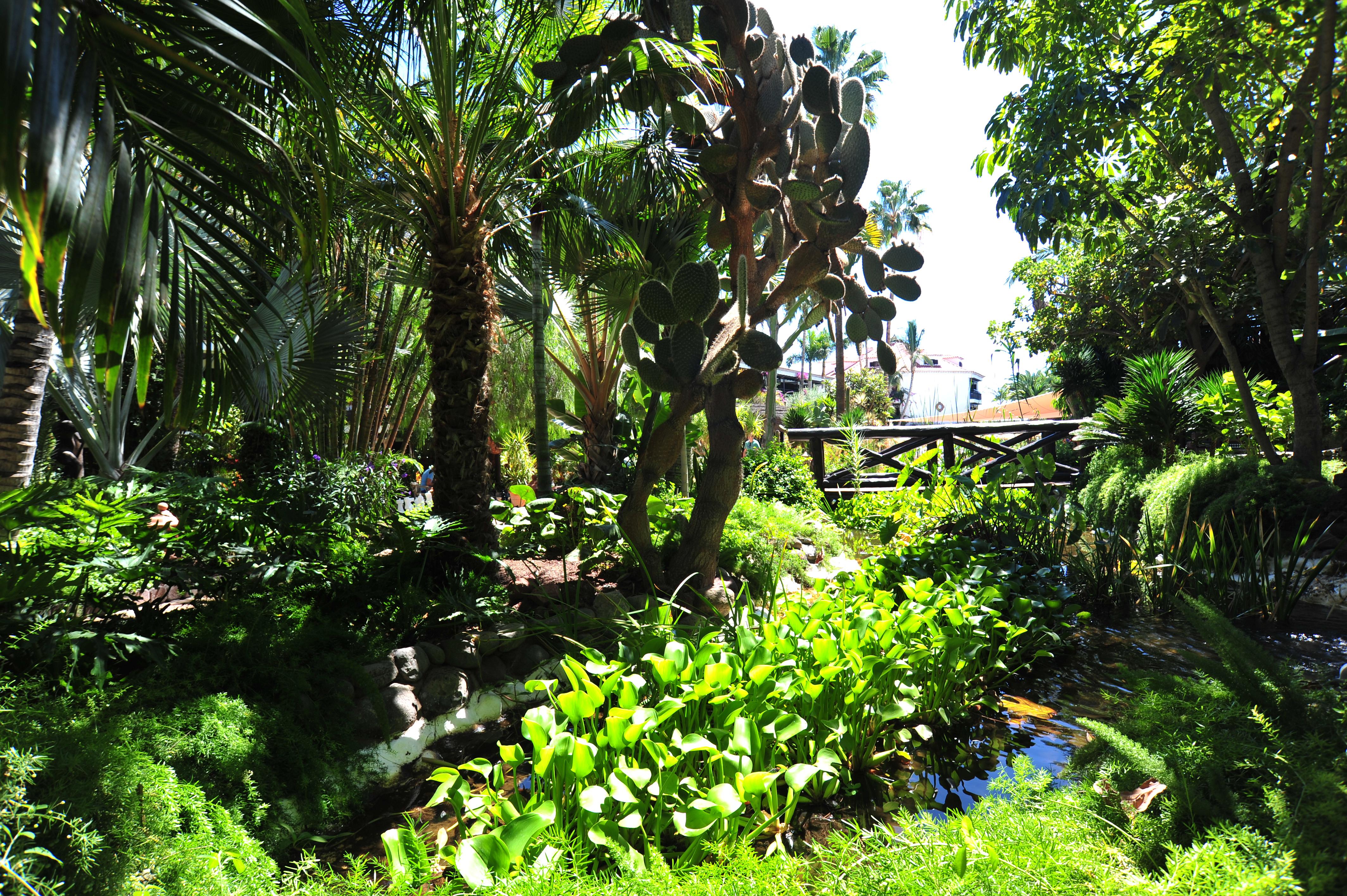 Hotel Parque Tropical 普拉亚戴尔雷安格莱斯 外观 照片