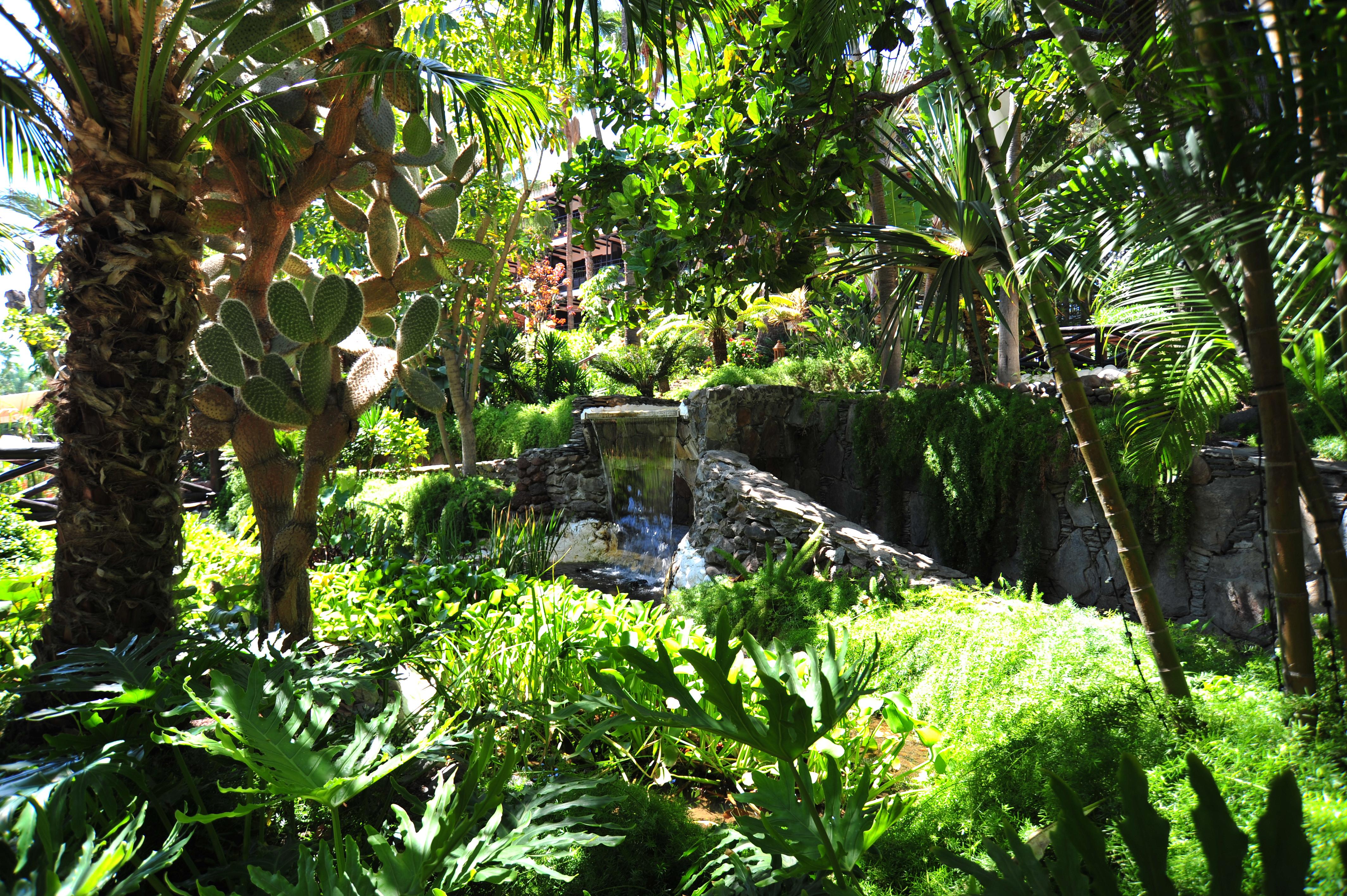 Hotel Parque Tropical 普拉亚戴尔雷安格莱斯 外观 照片