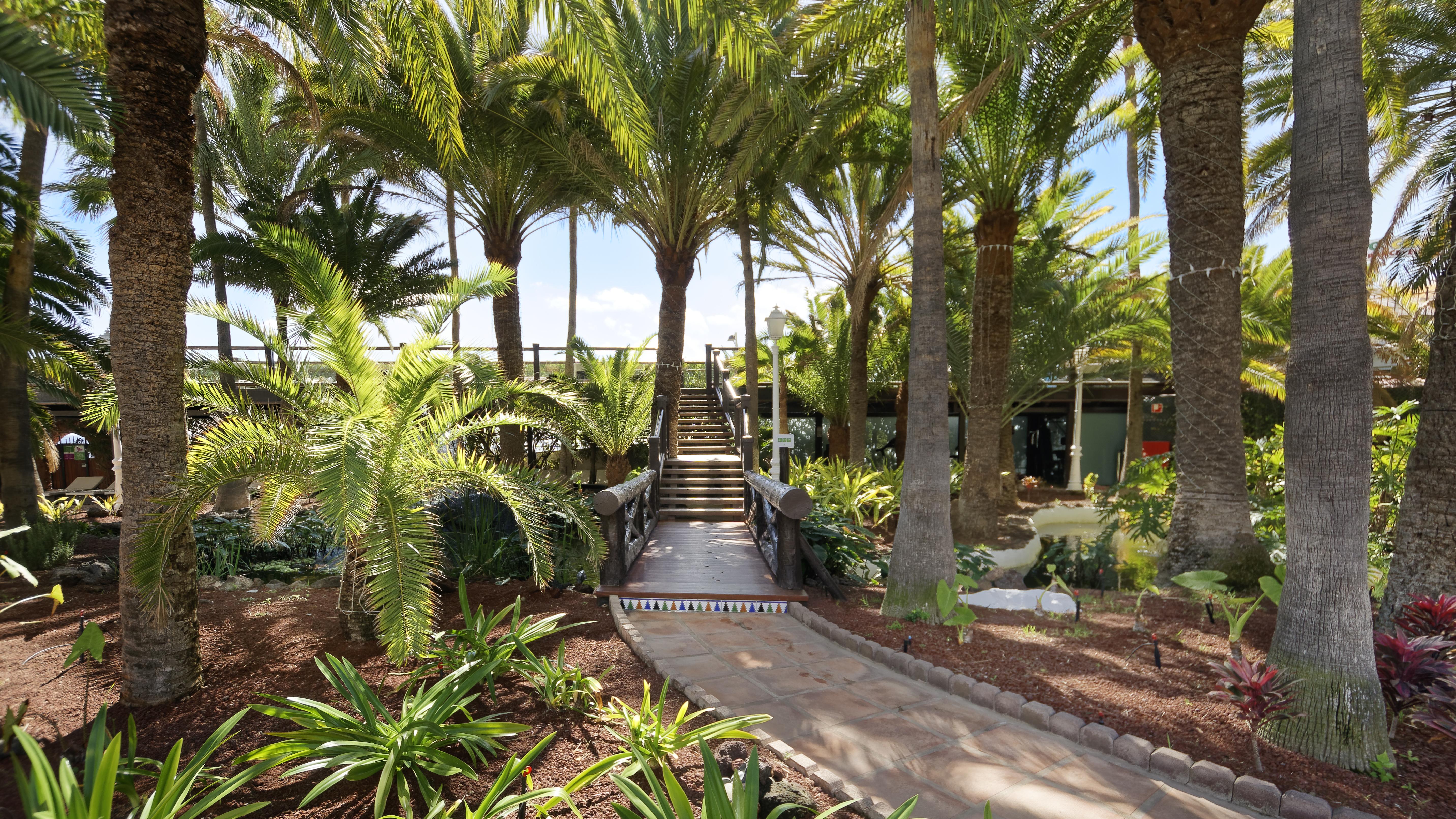 Hotel Parque Tropical 普拉亚戴尔雷安格莱斯 外观 照片