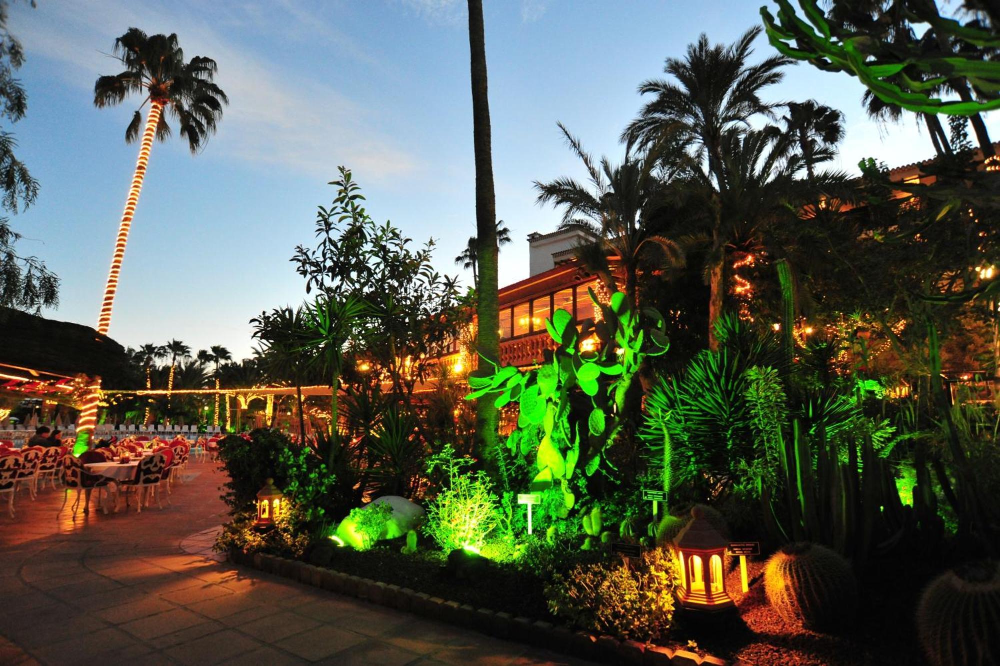 Hotel Parque Tropical 普拉亚戴尔雷安格莱斯 外观 照片