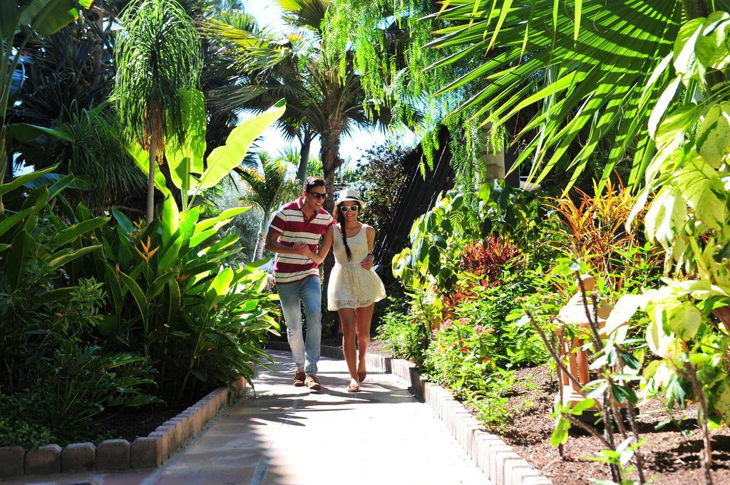 Hotel Parque Tropical 普拉亚戴尔雷安格莱斯 外观 照片