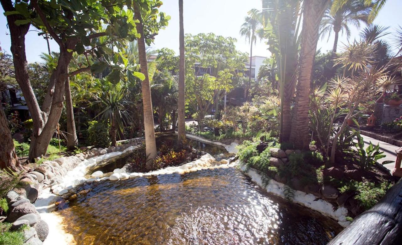 Hotel Parque Tropical 普拉亚戴尔雷安格莱斯 外观 照片