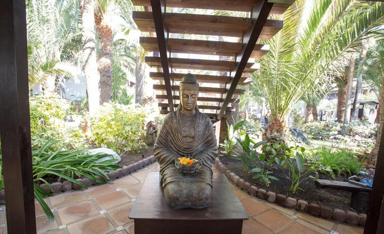Hotel Parque Tropical 普拉亚戴尔雷安格莱斯 外观 照片